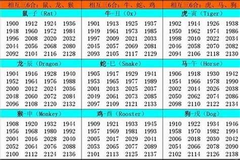 生肖 1989|1989属什么生肖？详细解析1989年的生肖归属